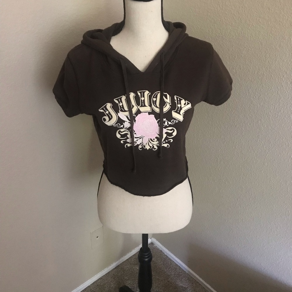 Juicy Couture Brown Cropped Sweatshirt